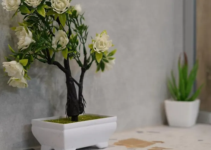 Cozy In The Heart Of Sofia, Bg アパート ソフィア