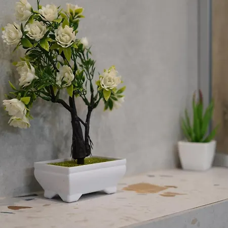 Cozy In The Heart Of Sofia, Bg 公寓 索菲亞